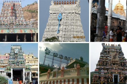 Temple & River Tours