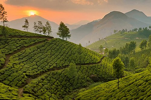 Munnar to Cochin